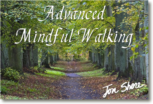 Advanced Mindful Walking by Jon Shore