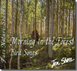 Pure Nature Sounds Morning in the Forest - Bird Songs by Jon Shore