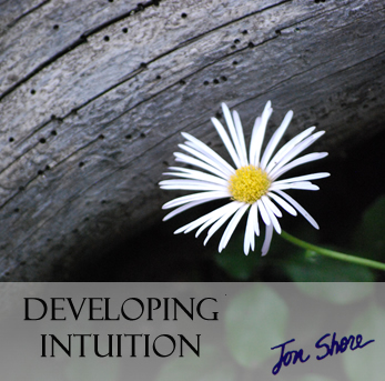Developing Intuition by Jon Shore