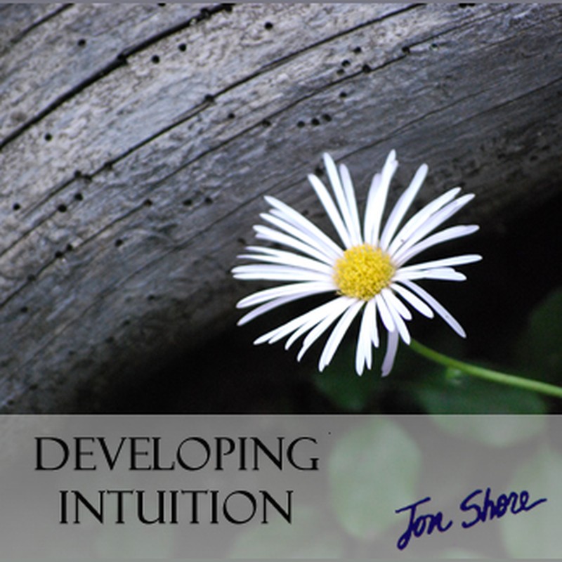 Developing Intuition by Jon Shore