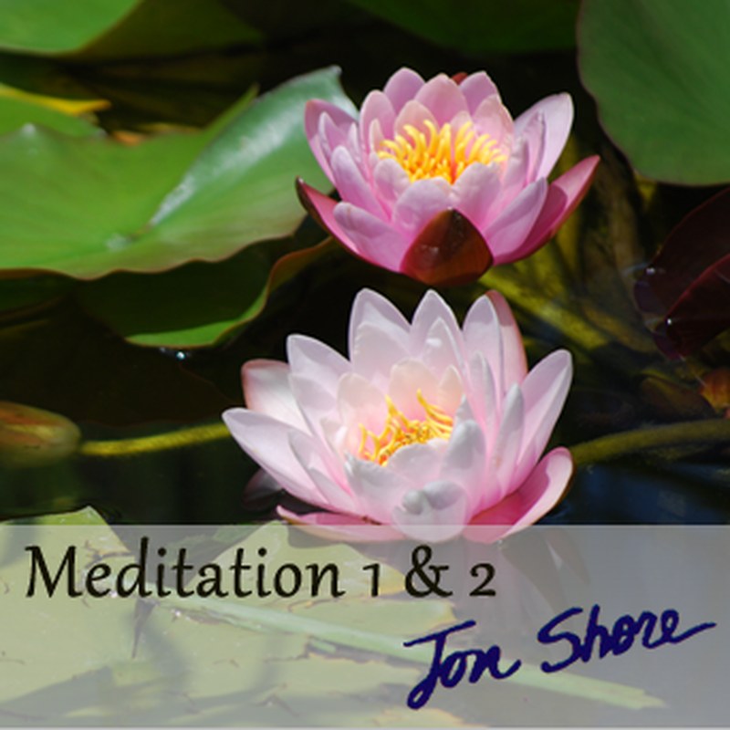Meditation 1 and 2 by Jon Shore