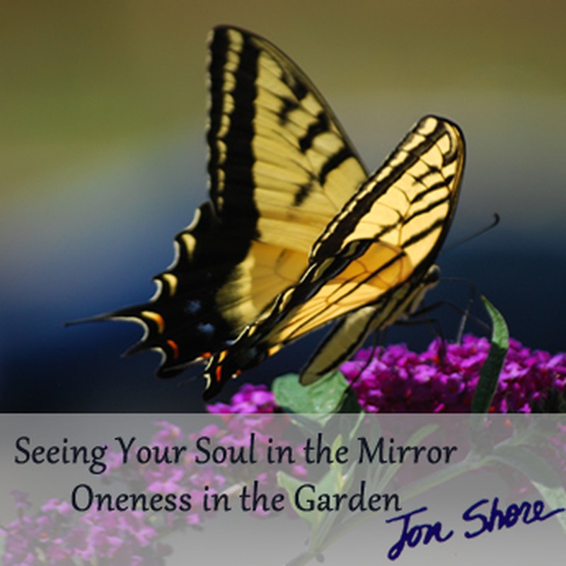 Seeing Your Soul in the Mirror and Oneness in the Garden by Jon Shore