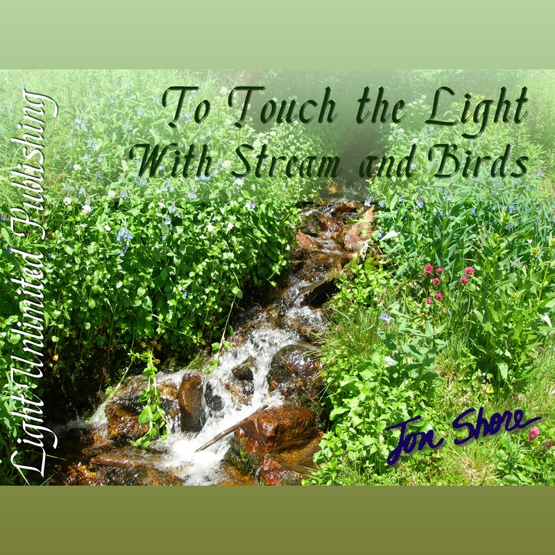 To Touch the Light with Stream and Birds by Jon Shore
