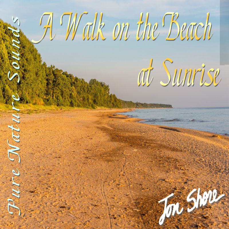 A Walk on the Beach at Sunrise by Jon Shore
